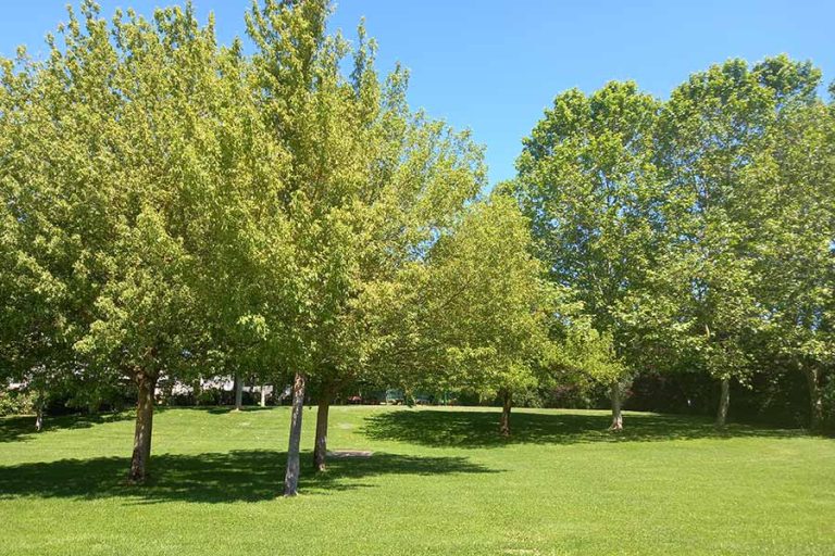 huarte-deporte-polideportivo7