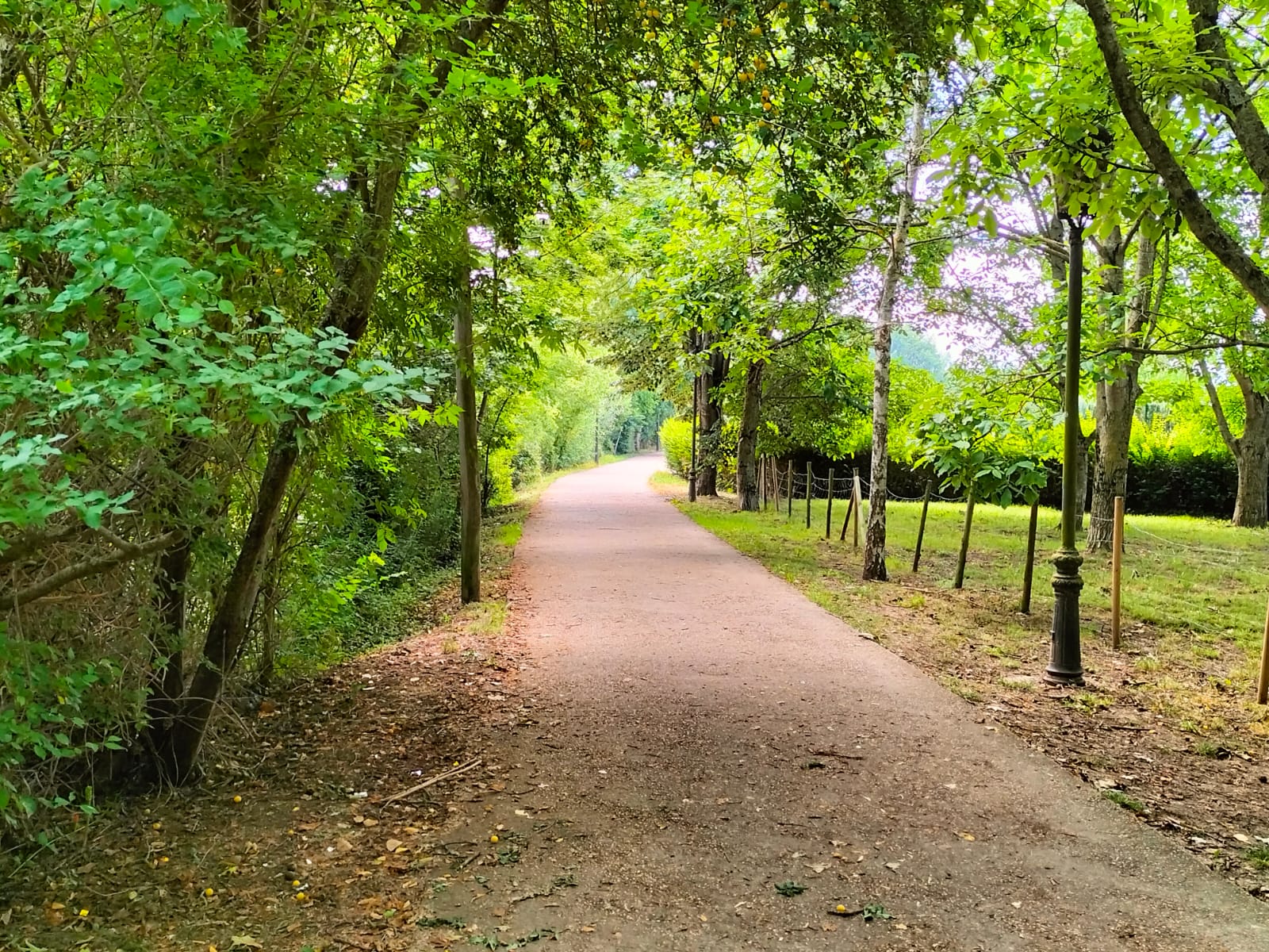 Ibilaldi literarioa ibai parkean