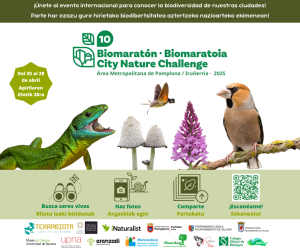 Iruñerriko Biomaratoia