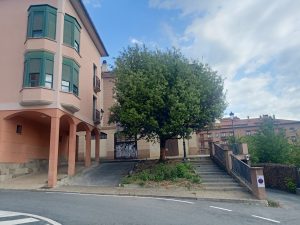 Ekintza bandalikoa Uharten