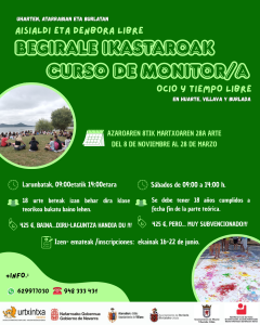 AISIALDIKO MONITORE IKASTAROA