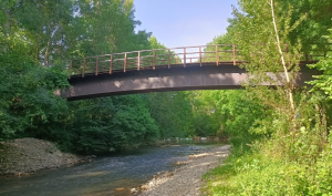 Txubindoako zaldaina egokitzea